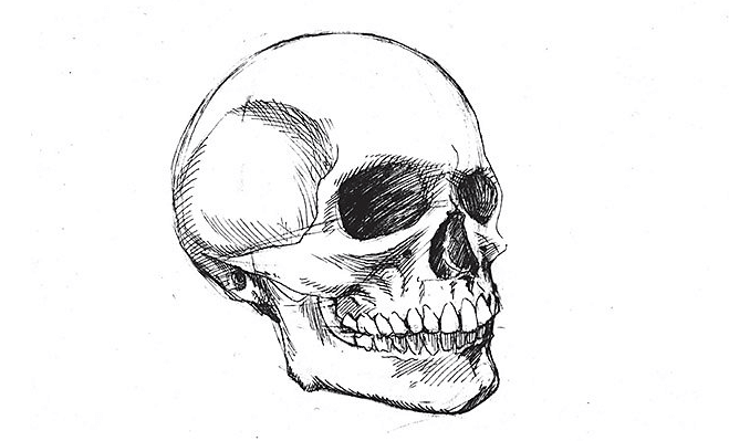 Simple:5h-Yxic24pq= Skull Drawing