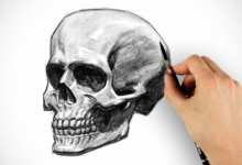 Simple:5h-Yxic24pq= Skull Drawing