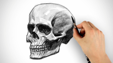 Simple:5h-Yxic24pq= Skull Drawing