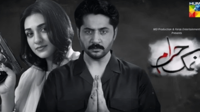 Namak Haram Cast: The Complete Cast of Namak Haram