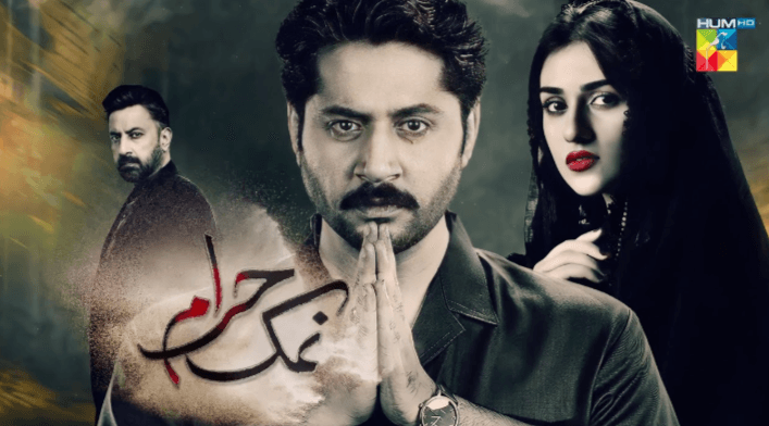 Namak Haram Drama Cast: Meet the Cast of the Iconic Namak Haram Drama