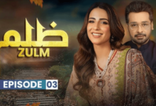 Zulm Drama Cast: Meet the Actors Behind the Drama Zulm