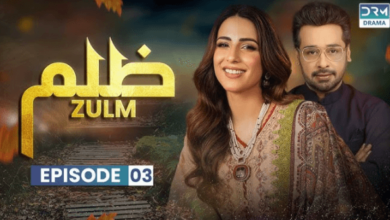 Zulm Drama Cast: Meet the Actors Behind the Drama Zulm