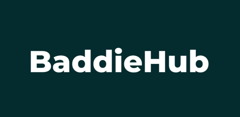 Baddihub: A New Social Platform Revolutionizing Online Communities