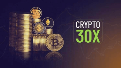 Crypto30x.Com Regulation: Understanding Cryptocurrency Regulations With Crypto30x.Com