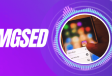 Imgsed: What Is Imgsed and How Does It Improve Your Digital Media Experience?