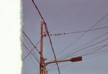 support line number provided