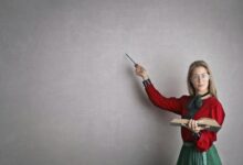 dinvoevoz profile overview updates