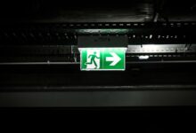 dream with jeff features