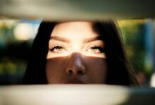 profile highlights summary insight