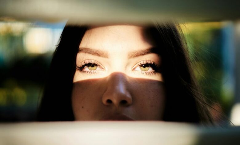 profile highlights summary insight