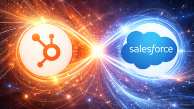 HubSpot and Sales Force Integration: How to Choose a Vendor