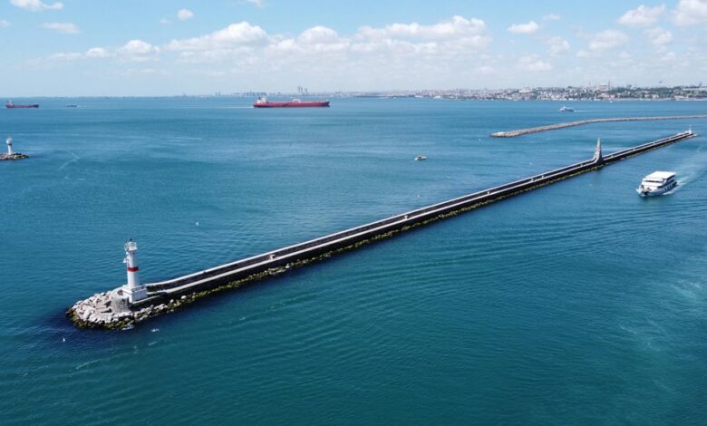 traffic maximizer digital lighthouse