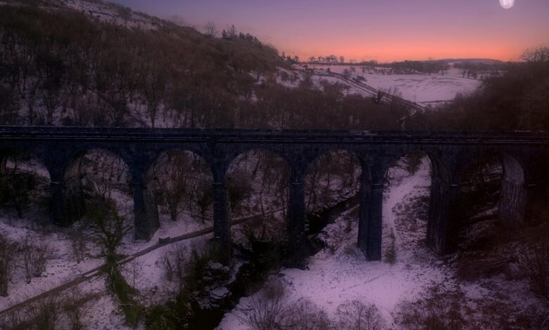 traffic maximizer success beacon