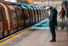 build online authority platform 8008870224