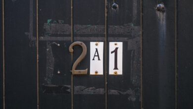 advanced system identifiers numeric and codified
