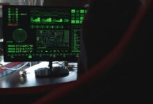network technical scan dazeeha xotros boxer