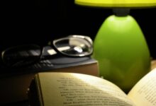 six hundred fifty gram lamp