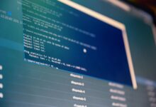 web system analysis host and user details