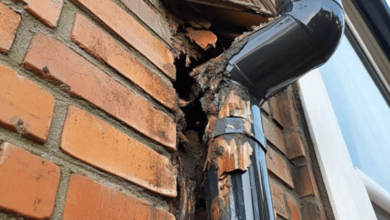 What Causes Water Marks Along the Bottom of Exterior Walls?