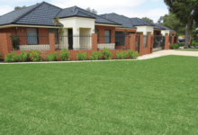 Buying Turf