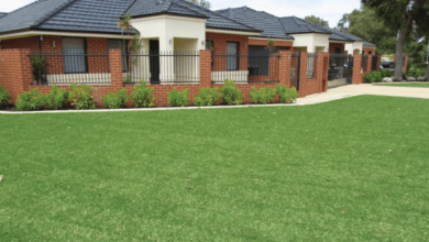 Buying Turf