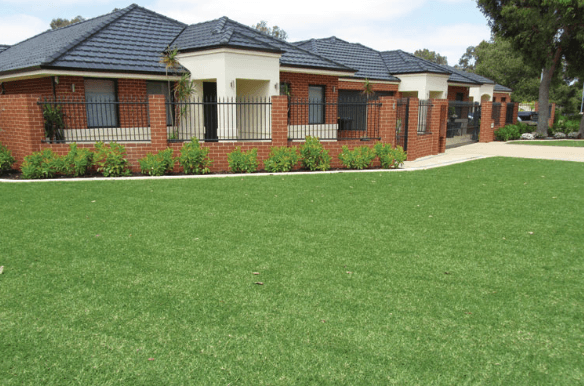 Buying Turf